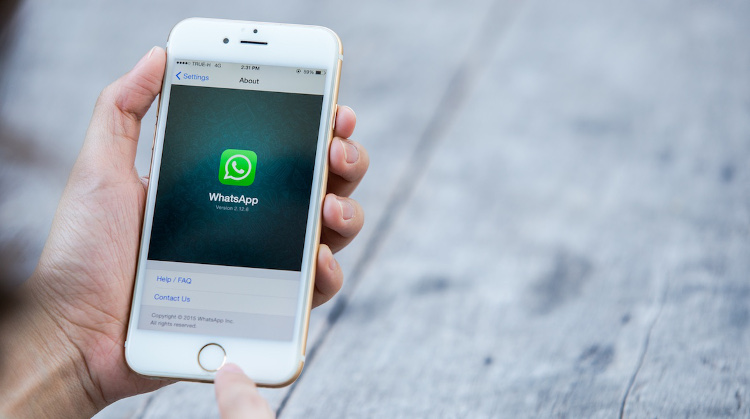Whatsapp Belge Paylaşımı