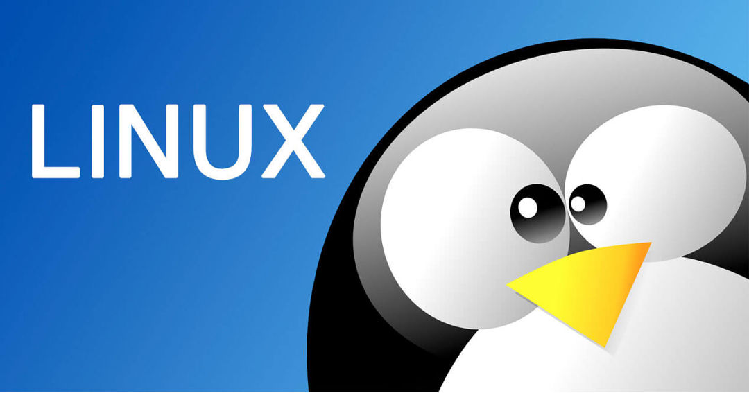 Linux Server Disk Nasıl Genişletilir ?