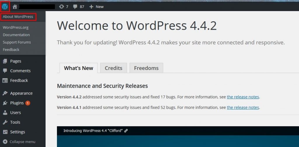 WordPress Güncelleme