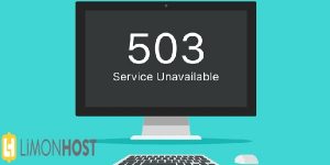 503 Service Unavailable Hatası