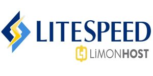 litespeed web server