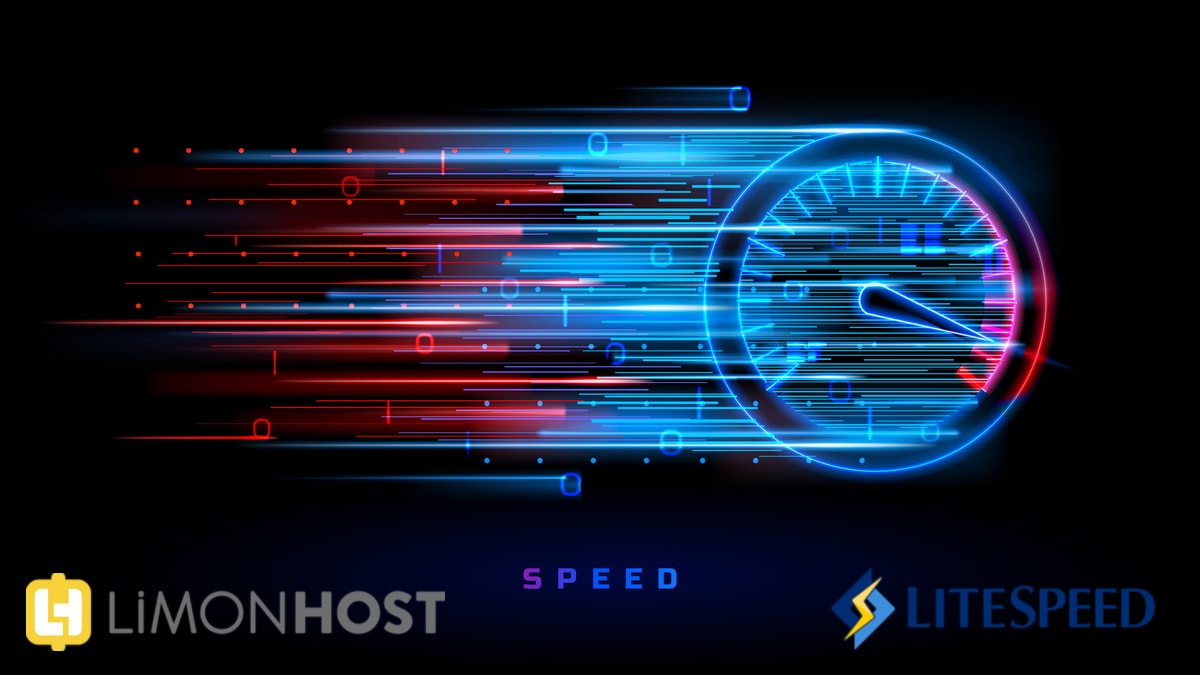 litespeed web server nedir