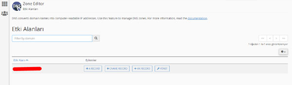 cpanel dns kaydı nasıl eklenilir adım 3