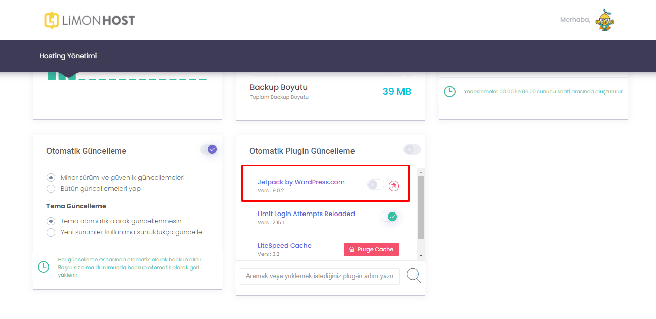 otomatik plugin güncelleme nasıl yapılır adım 4