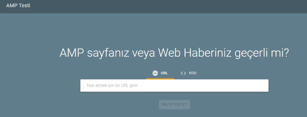 AMP Nedir? Ne İşe Yarar? AMP'nin Site Hızına Etkisi | LimonHost