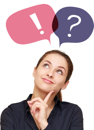 Whois query